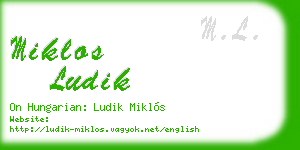 miklos ludik business card